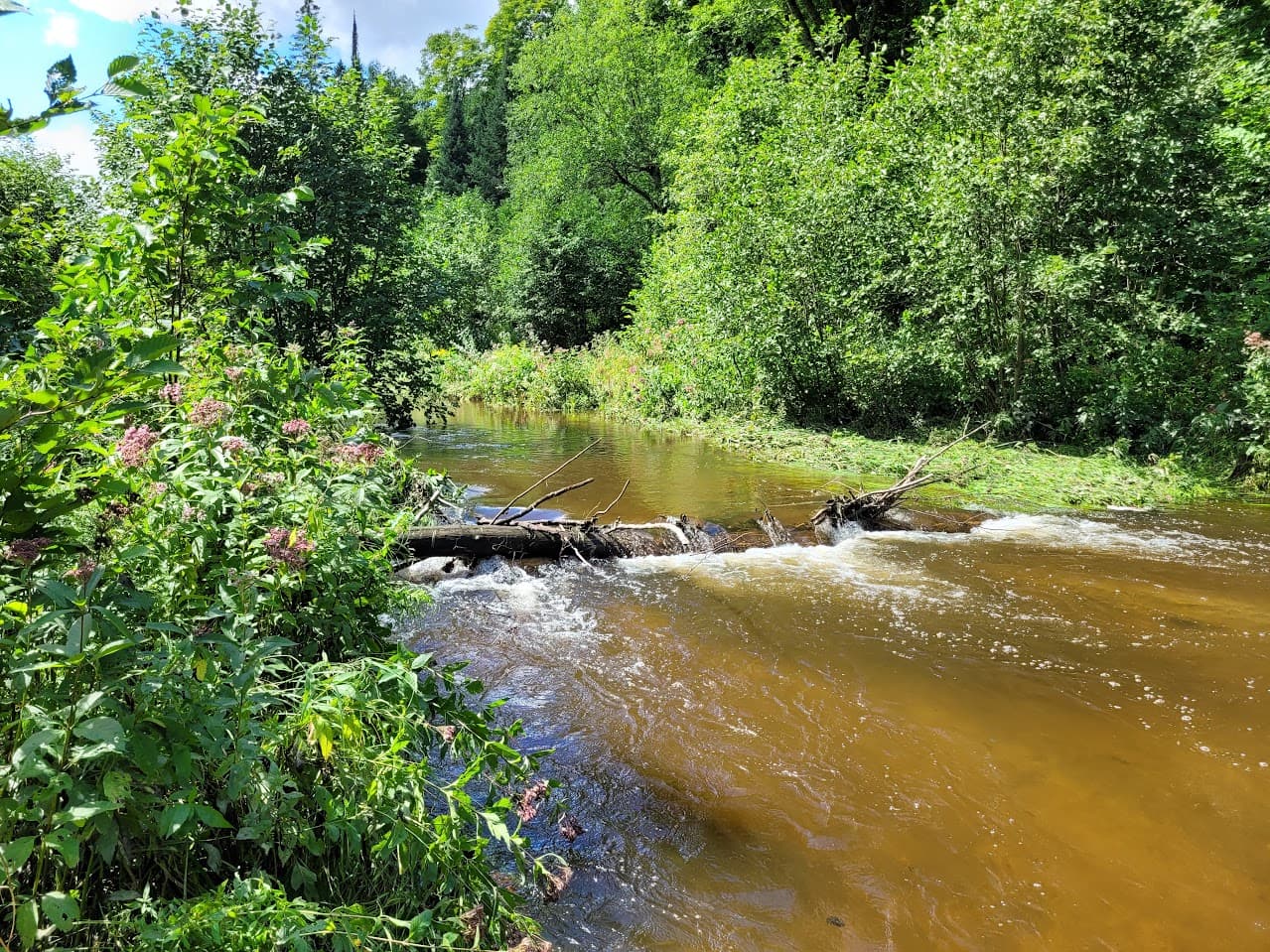 Stream along lots 11 to 14