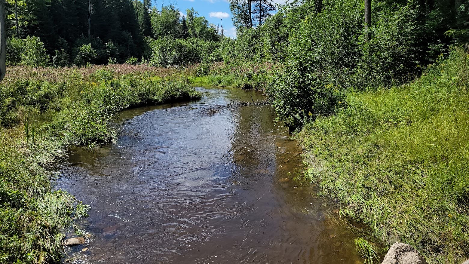 Stream along lots 11 to 14